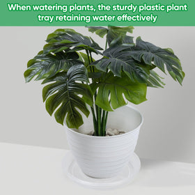Dovesail 8-inch clear saucer blends with pots while protecting surfaces.