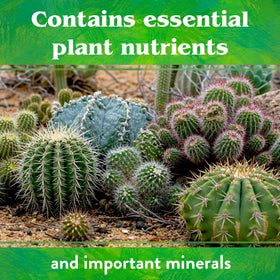 Down To Earth Cactus & Succulent Mix indoor-use presents convenient home garden feeding.
