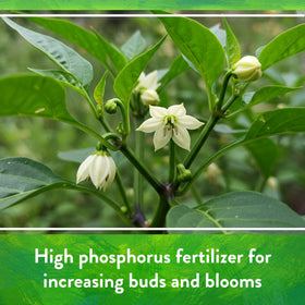 Down To Earth Island Phosphate easy application for quick nutrient uptake.
