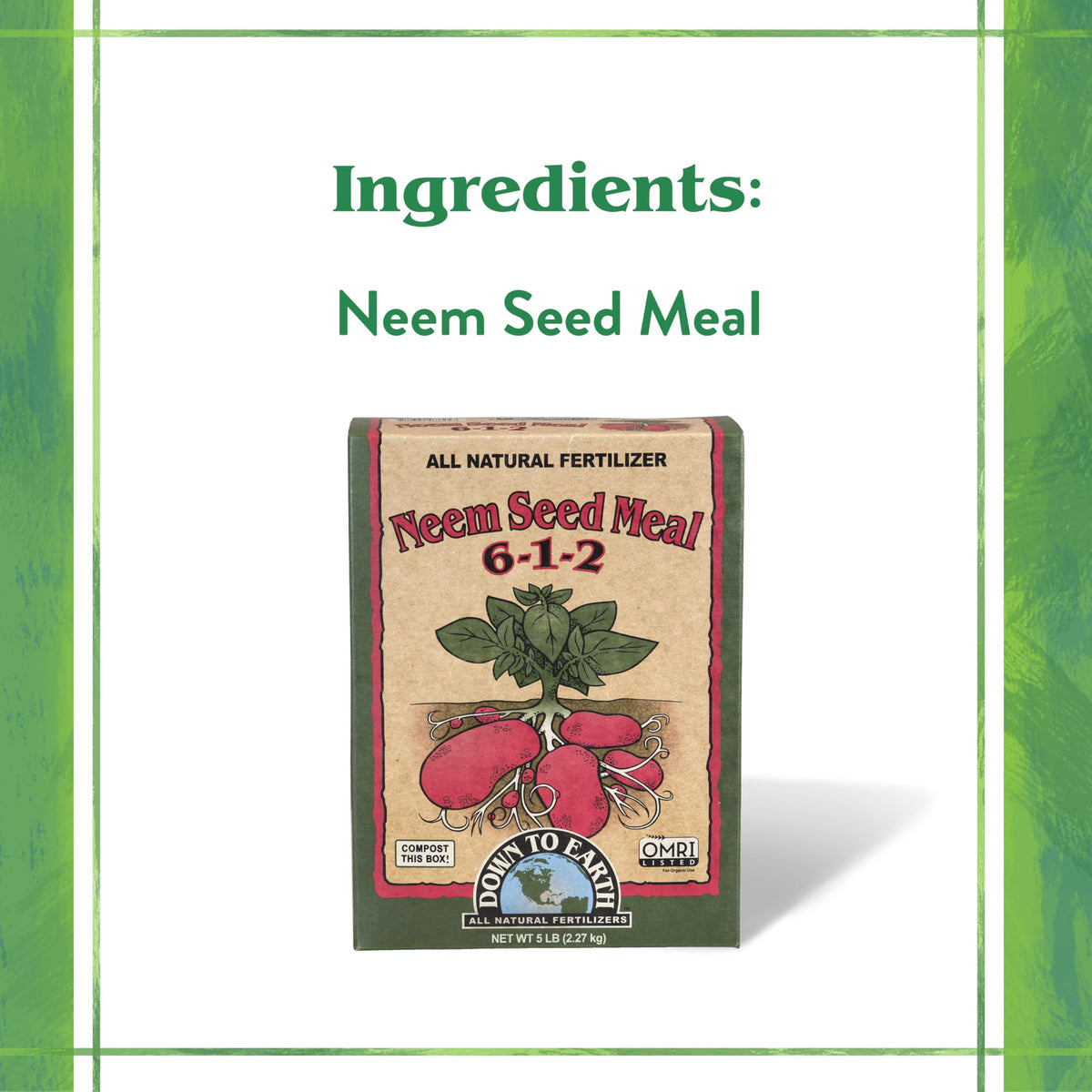 Scoop of Neem Seed Meal being mixed into soil in a garden bed
