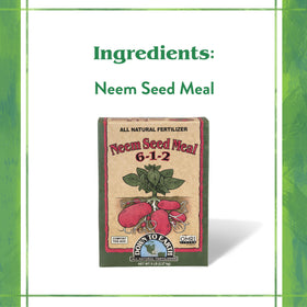 Scoop of Neem Seed Meal being mixed into soil in a garden bed