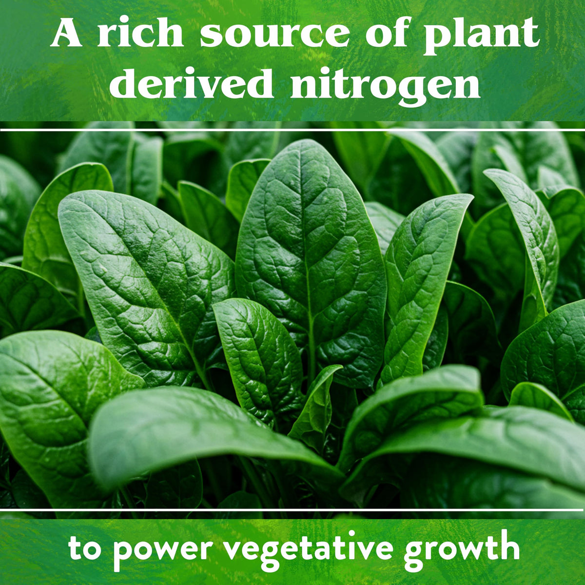 Neem Seed Meal used in a raised bed for enhanced soil nutrition