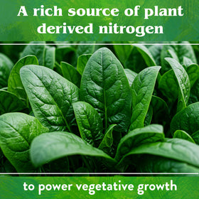 Neem Seed Meal used in a raised bed for enhanced soil nutrition