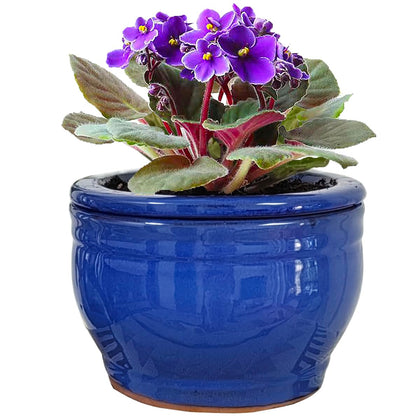Dphagesy African Violet pot with inner unglazed pot for self-watering.