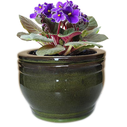 Dphagesy African Violet pot self-watering in olive drab for easy plant care.