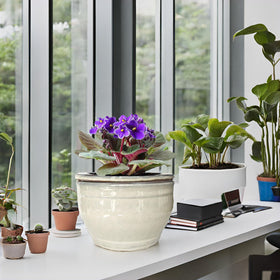 Cleaning outer pot every two months for best results