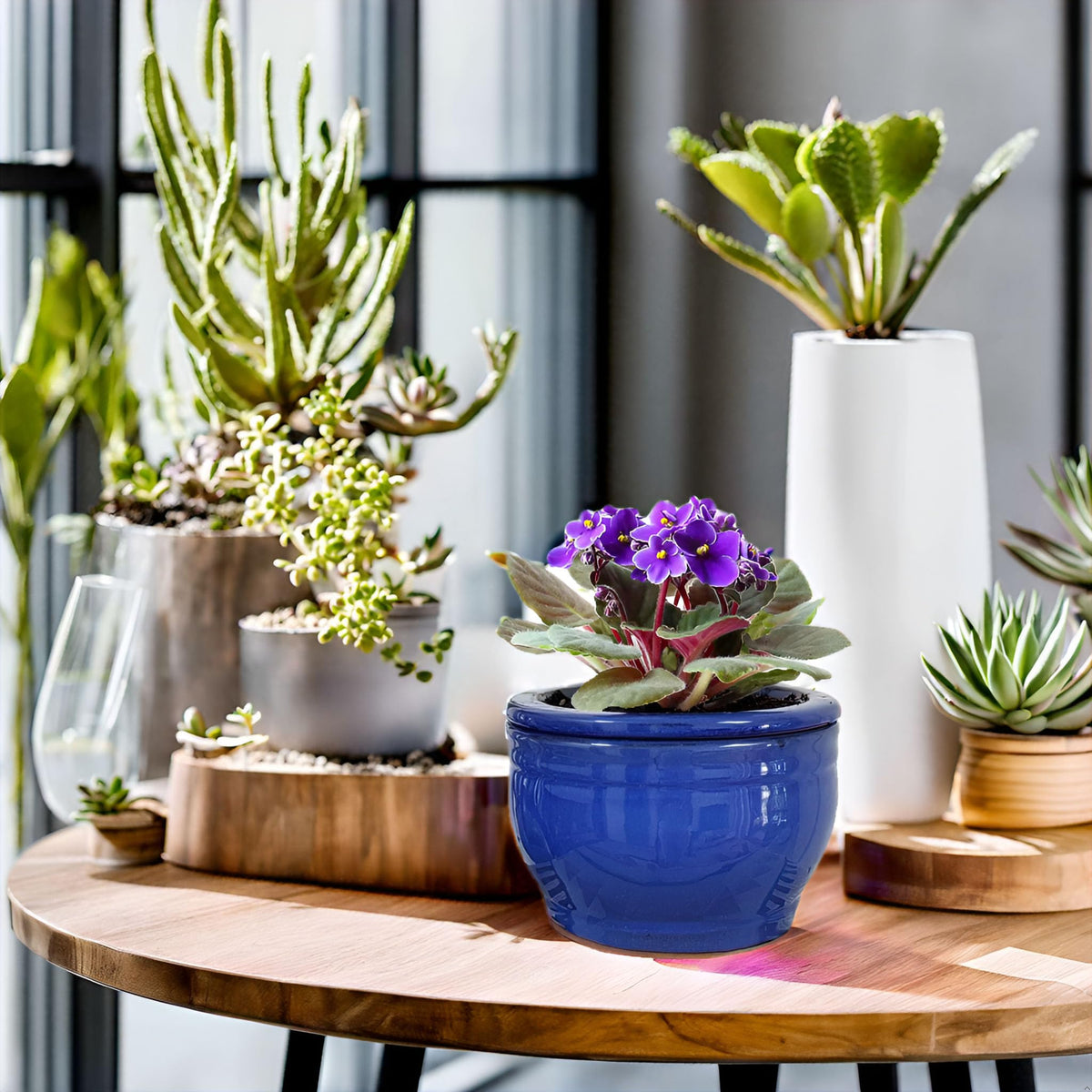 Dphagesy classic blue violet pot suitable for living spaces.