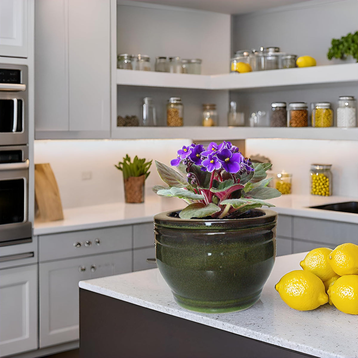 Dphagesy non-leak ceramic outer pot placed on table or shelf.