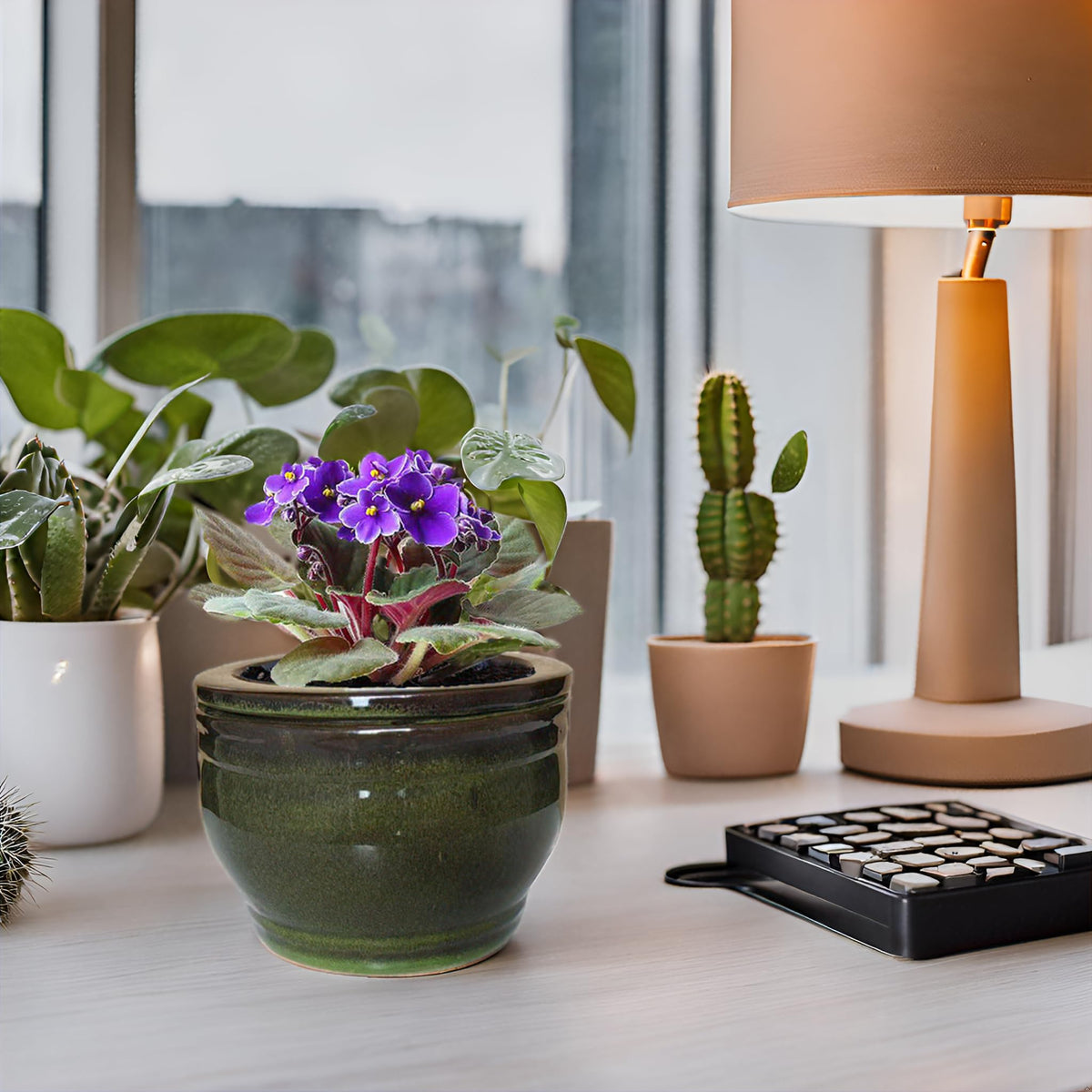 Dphagesy olive drab African Violet planter ready for gifting.