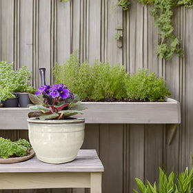 Dphagesy violet pot water container supports steady hydration