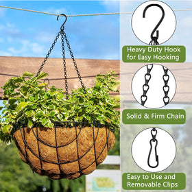 Dpyrrhic chain holds up to 30 lbs with secure mounting.