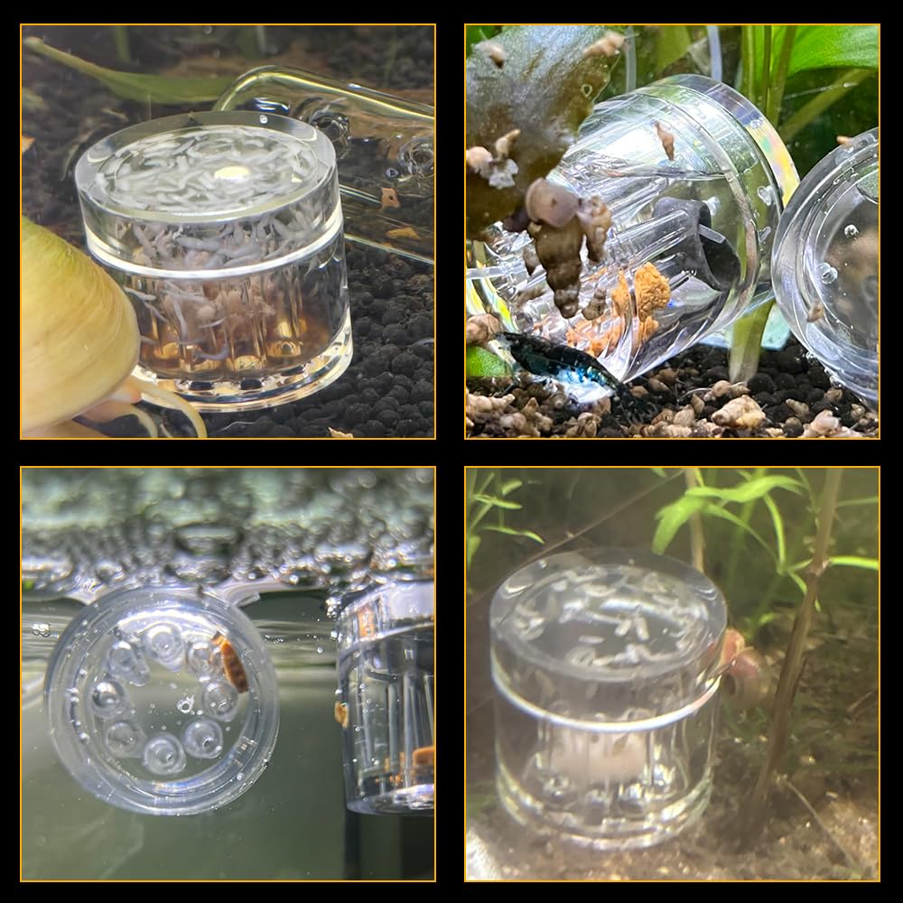 DQITJ Planaria Trap compact size 1.25D x 1.18H fits small tanks
