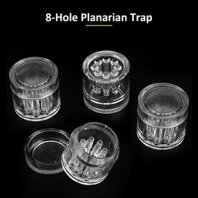 DQITJ Planaria Trap catches planaria, flatworms, and leeches effectively