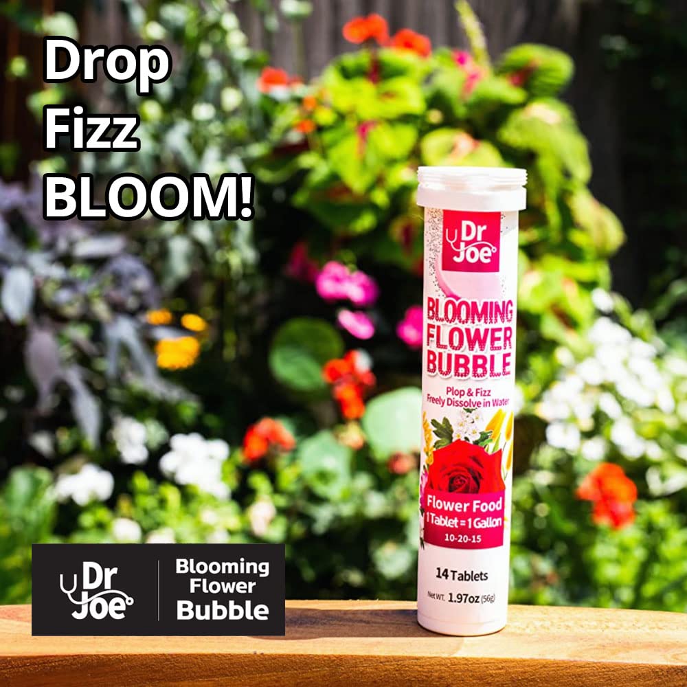 Weekly feeding with Dr. Joe Blooming Flower Bubble for ongoing bloom.