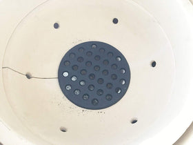 Dracarys 6.5in fit for Small Mini and Medium Big Green Egg grills