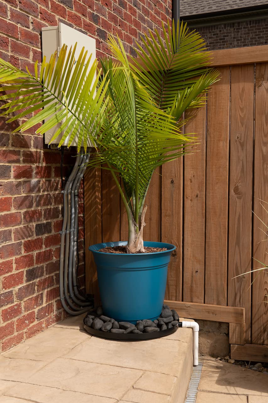 Drain Away Tray compatible with various container sizes and materials