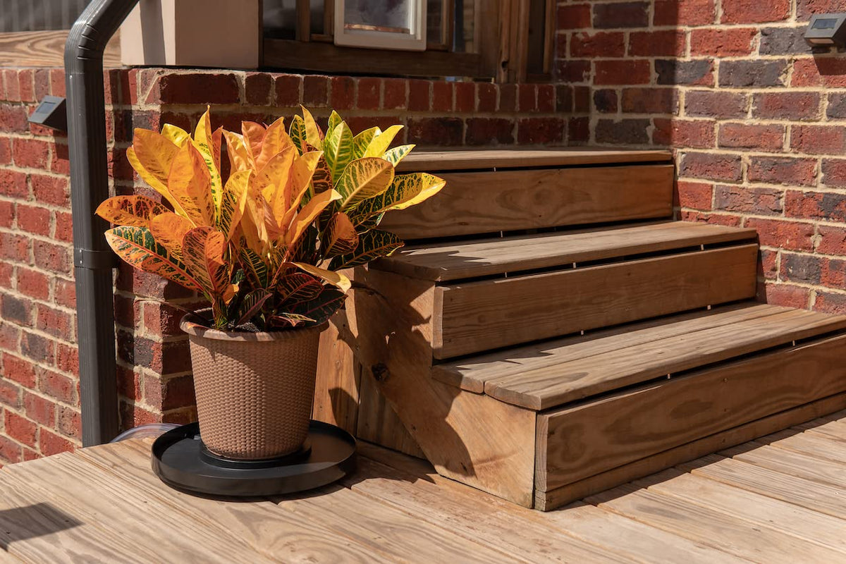 Drain Away Tray elevated center pedestal prevents water pooling