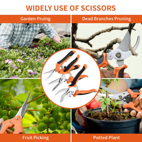 Drametic+ pruning in action for flowers herbs and small branches