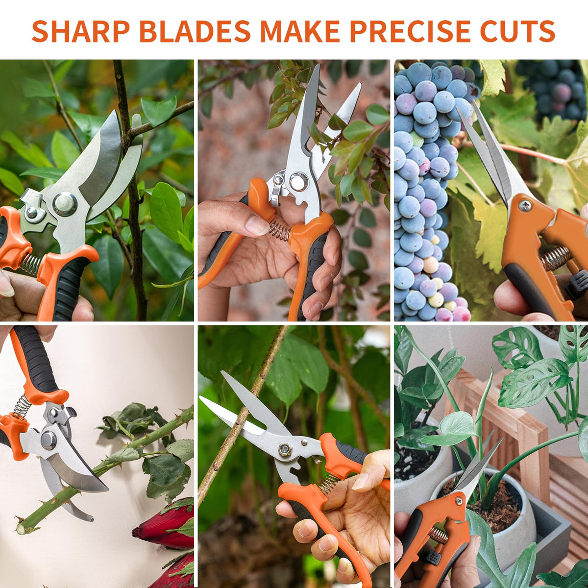 Drametic+ three blades included for different pruning tasks