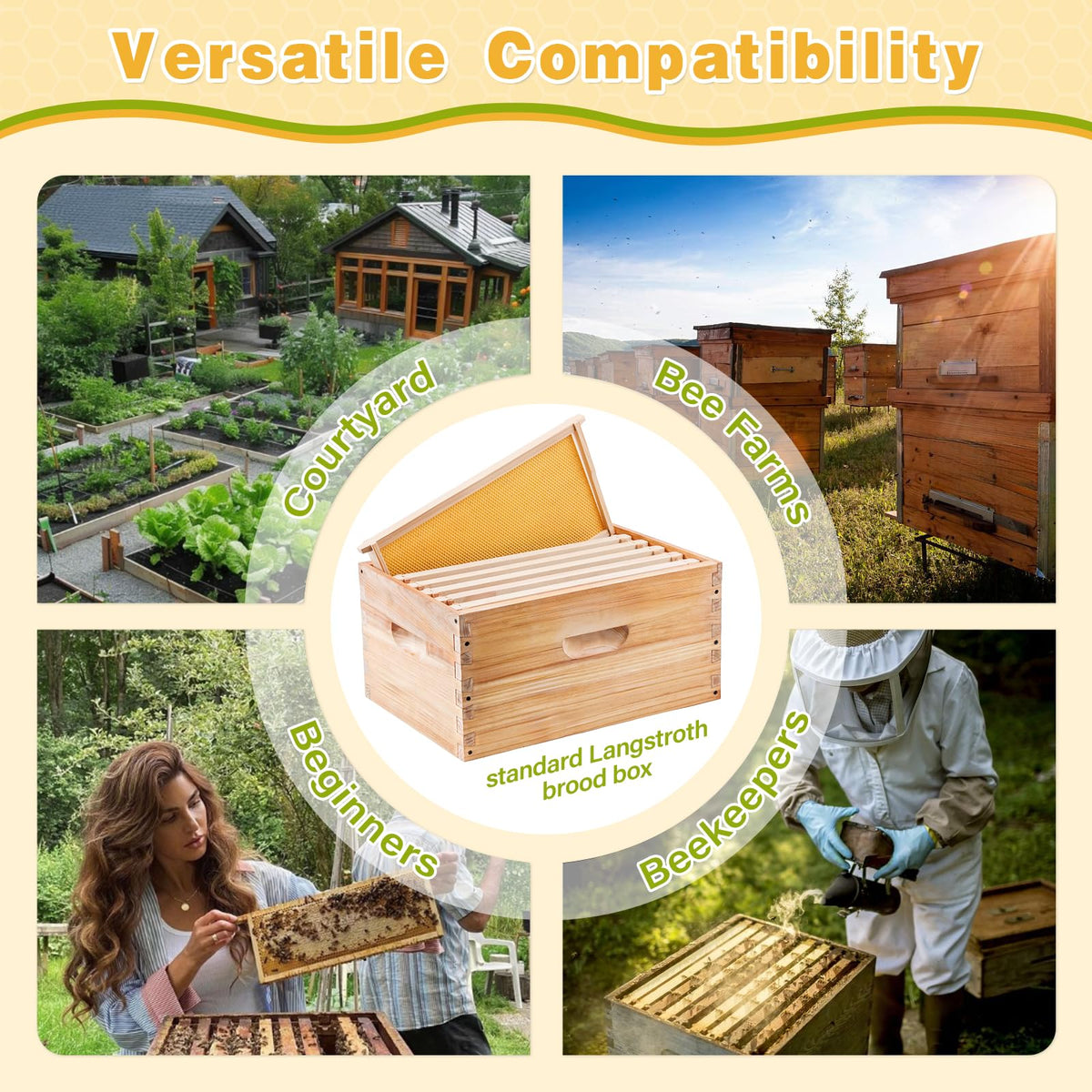 DrawPies beeswax coated foundations support natural comb building and healthier colony activity