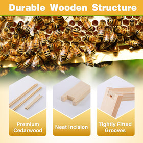 DrawPies cedarwood durable construction resists cracking for long lasting hive frames