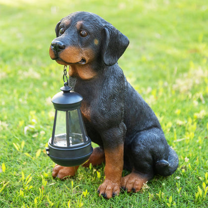 Dream Garden rottweiler statue, 13-inch outdoor decor, creates a welcoming entryway.