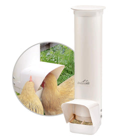 DreameHill automatic chicken feeder front view reduces feed waste.