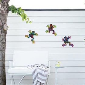 Dreamskip colorful frog decor brightens garden shed and patio spaces.