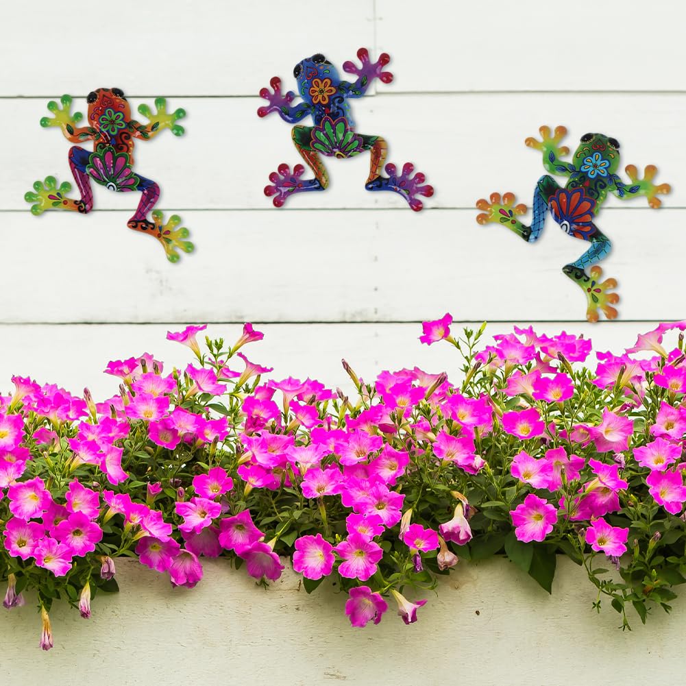 Dreamskip eco friendly gift frog wall art ready for gifting.