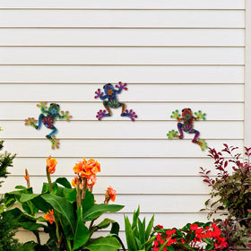 Dreamskip frog wall art hangs on a fence for instant curb appeal.