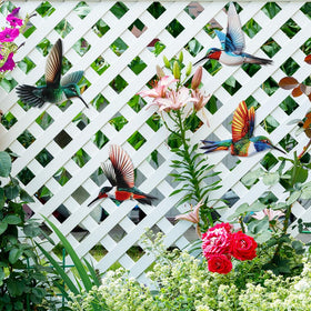 Dreamskip hummingbirds bring playful color to fences, patios, or walls.