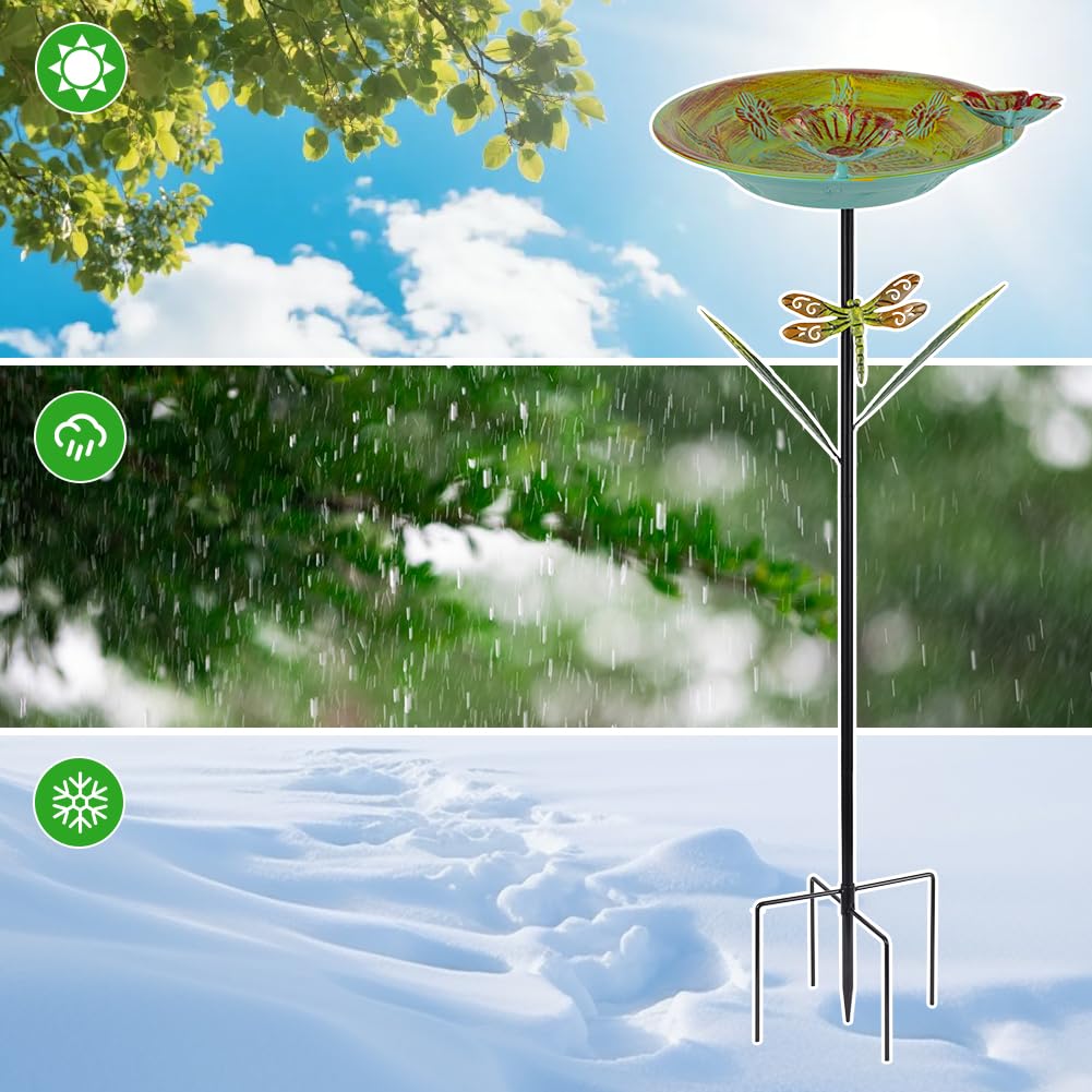 DREAMSOUL 12-inch diameter bowl offers ample space for birds to bathe.