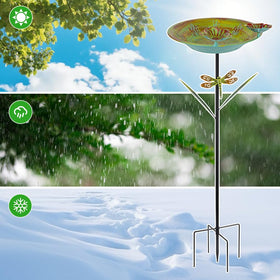 DREAMSOUL 12-inch diameter bowl offers ample space for birds to bathe.