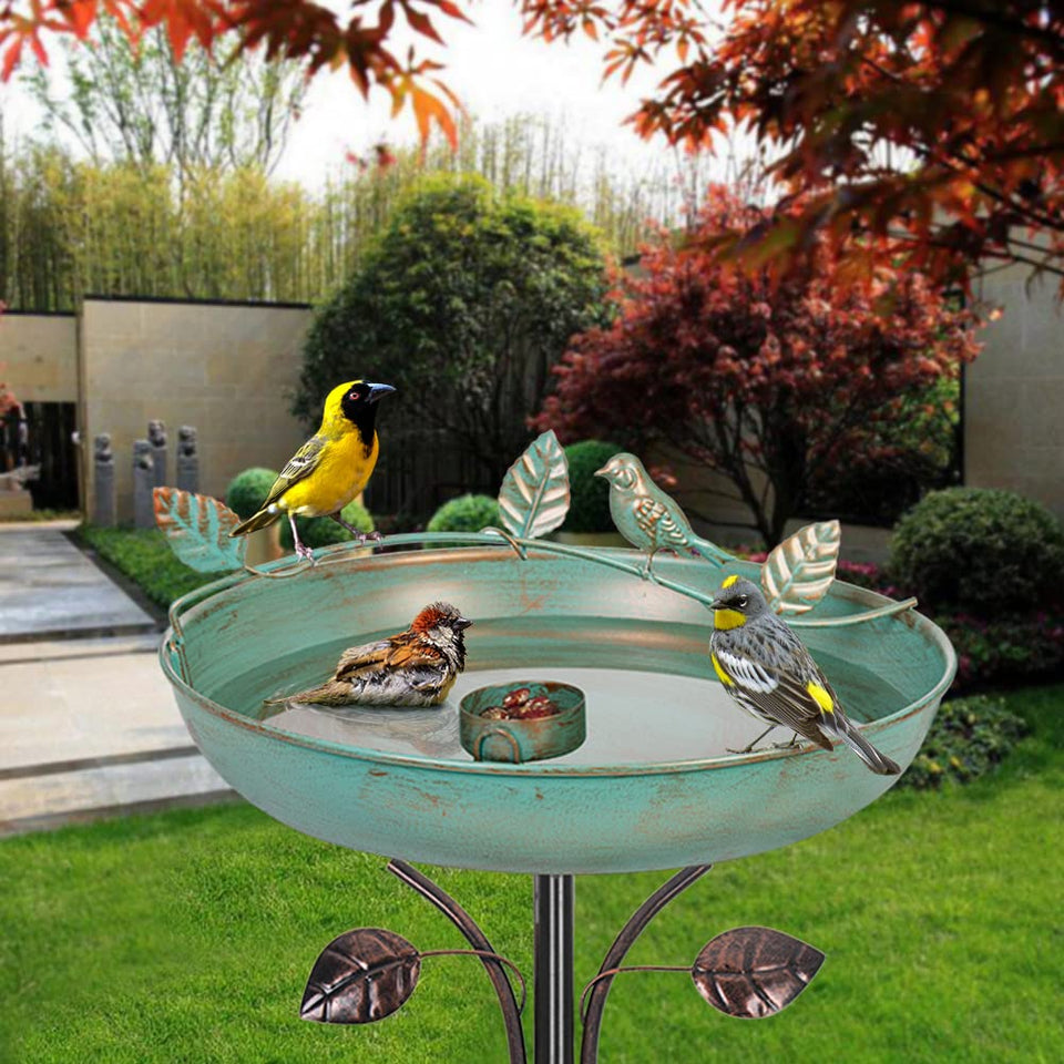 DREAMSOUL 5 Prongs Base Bird Bath with stake for stable outdoor use and water access