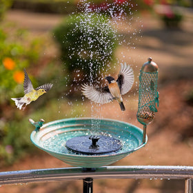 DREAMSOUL garden bird bath adds visual appeal as a decorative yard focal point