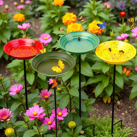 Dreamysoul bee watering station 4-pack in garden attracting pollinators and supporting garden health.