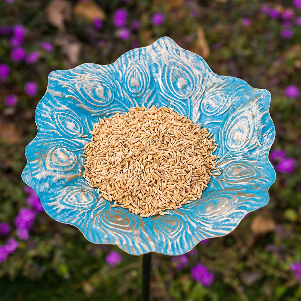 dreamysoul blue peacock feather pattern enhances outdoor appeal