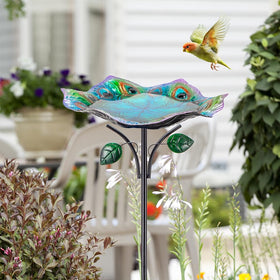 Dreamysoul easy install birdbath makes setup quick and tool-free.