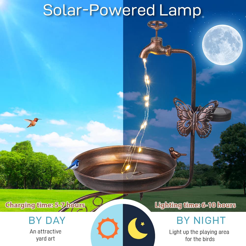 Dreamysoul night-time illumination highlights the garden after sunset.