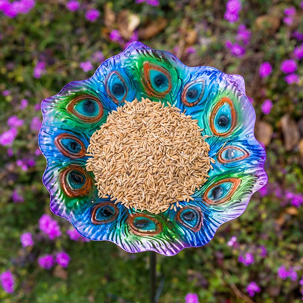 Dreamysoul outdoor birdbath 11 inch bowl provides a stable water source.