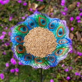 Dreamysoul outdoor birdbath 11 inch bowl provides a stable water source.