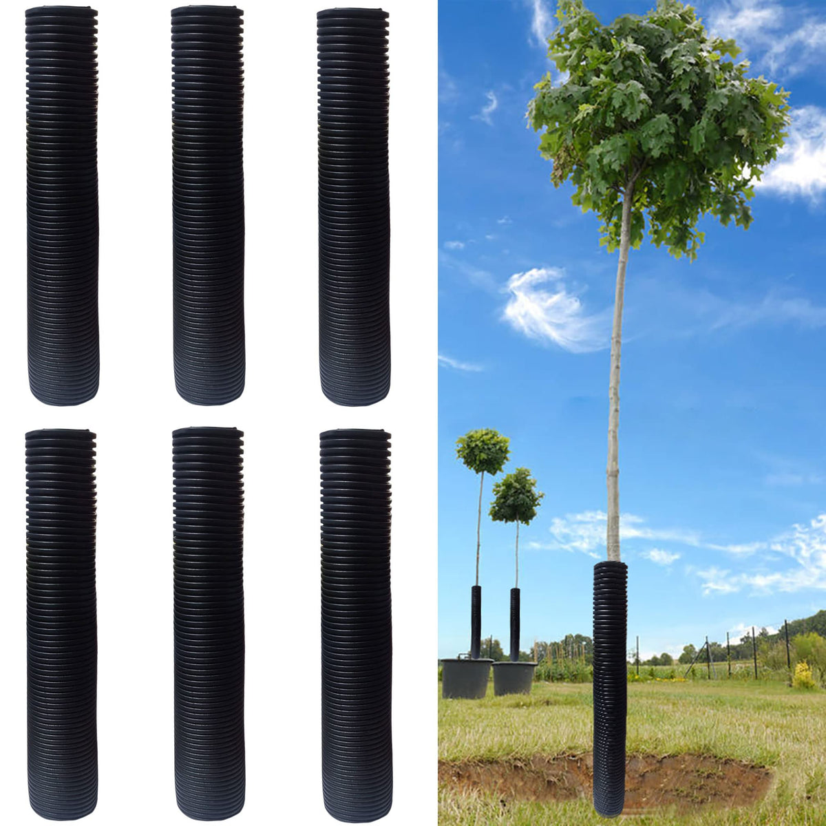 DredQcco corrugated tree guards, side view protecting young saplings' bark