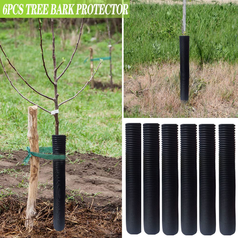 DredQcco sapling wrap installed around stems for easy protection