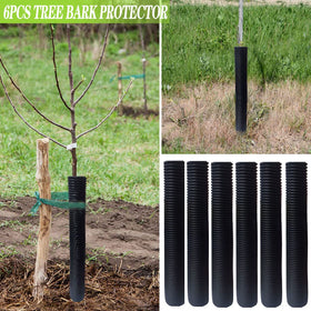 DredQcco sapling wrap installed around stems for easy protection