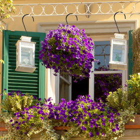Dreecy garden balcony ornament hanger helps decorate patios and porches.