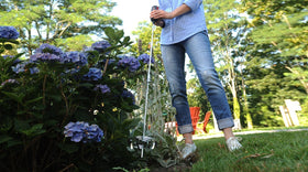 DRILLTILL weed out removes weeds and roots effectively.