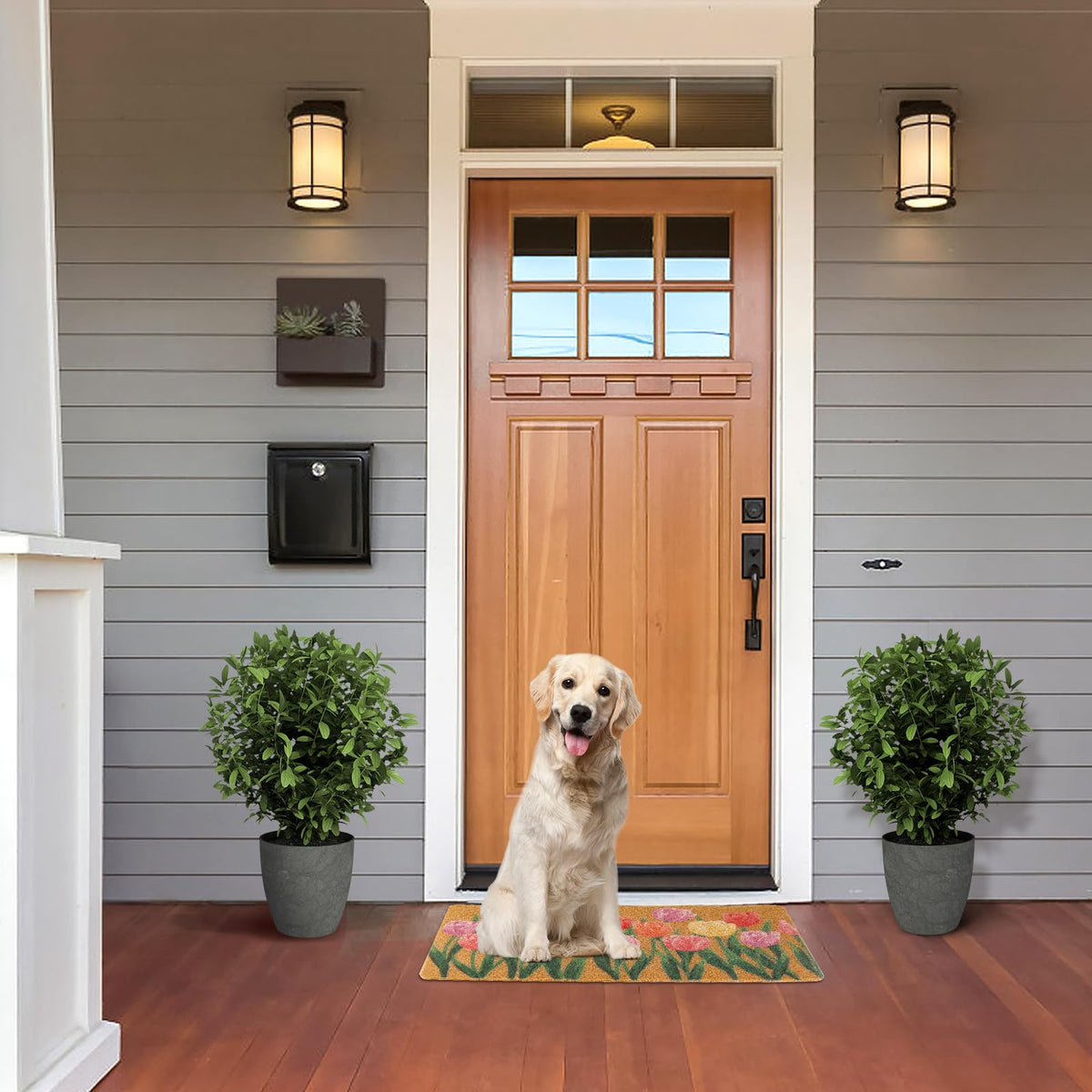 Dripykiaa 17x30 inch mat fits entryways for a welcoming footprint.