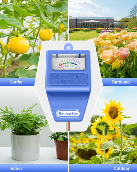 Dr.meter color-coded readings guide when to water and care.