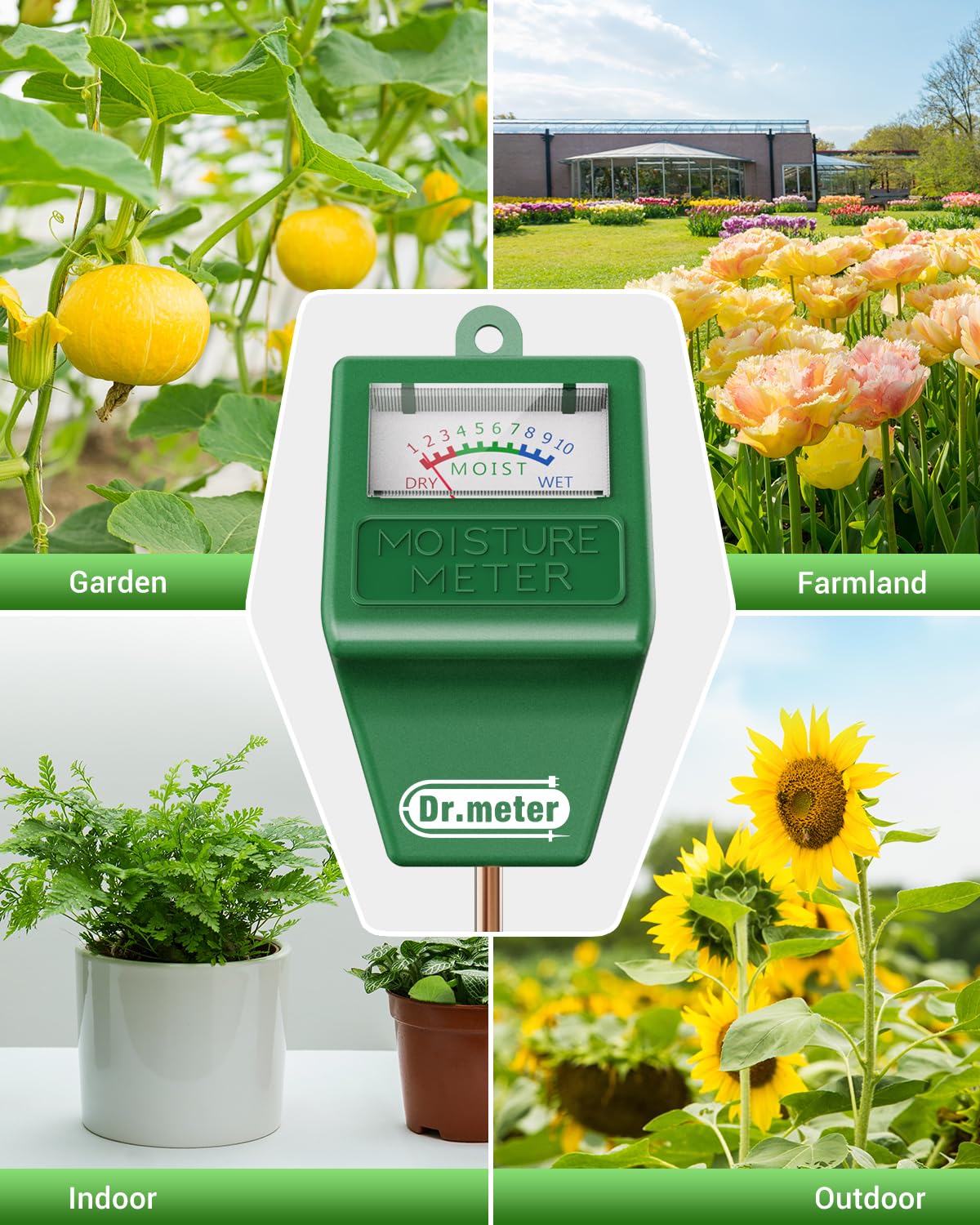 Dr.meter moisture reading in soil closeup for accurate watering