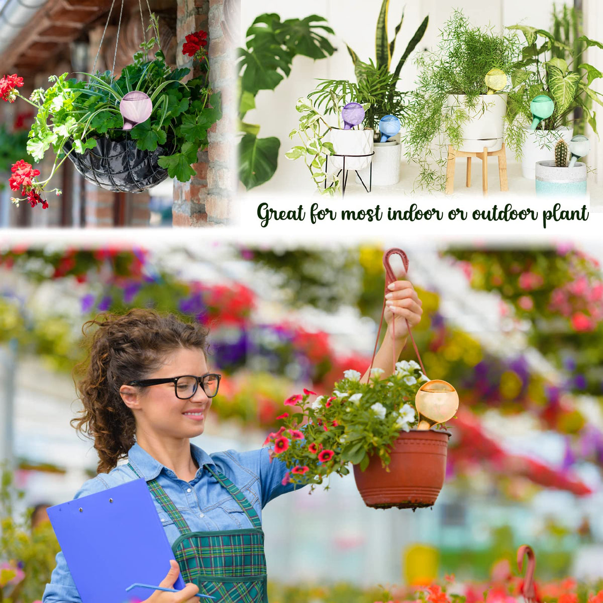 Droutti watering globes gift-ready packaging for plant lovers and beginners.